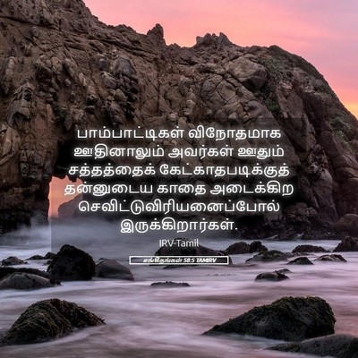 Picture 05 - சங்கீதங்கள் 58:5 TAMIRV - பாம்பாட்டிகள் - Bible Verse Picture