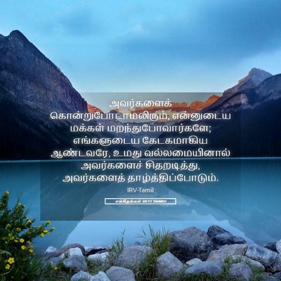 Picture 05 - சங்கீதங்கள் 59:11 TAMIRV - அவர்களைக் - Bible Verse Picture