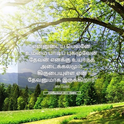 Picture 05 - சங்கீதங்கள் 59:17 TAMIRV - என்னுடைய பெலனே, - Bible Verse Picture