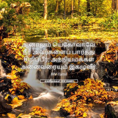 Picture 05 - சங்கீதங்கள் 59:8 TAMIRV - ஆனாலும் யெகோவாவே, - Bible Verse Picture
