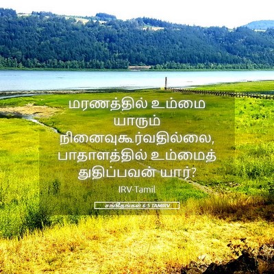 Picture 05 - சங்கீதங்கள் 6:5 TAMIRV - மரணத்தில் உம்மை - Bible Verse Picture