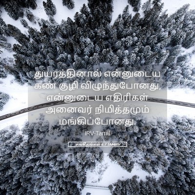 Picture 05 - சங்கீதங்கள் 6:7 TAMIRV - துயரத்தினால் - Bible Verse Picture