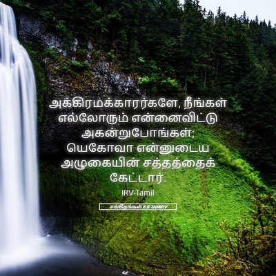 Picture 05 - சங்கீதங்கள் 6:8 TAMIRV -  - Bible Verse Picture