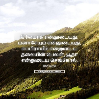 Picture 05 - சங்கீதங்கள் 60:7 TAMIRV - கீலேயாத் - Bible Verse Picture