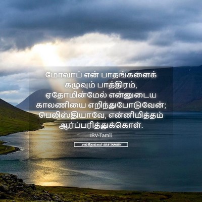 Picture 05 - சங்கீதங்கள் 60:8 TAMIRV - மோவாப் என் - Bible Verse Picture