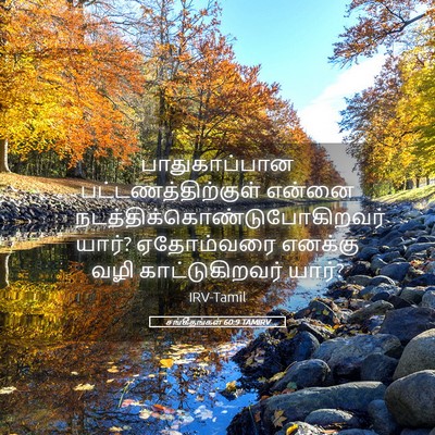 Picture 05 - சங்கீதங்கள் 60:9 TAMIRV - பாதுகாப்பான - Bible Verse Picture