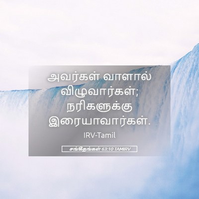 Picture 05 - சங்கீதங்கள் 63:10 TAMIRV - அவர்கள் வாளால் - Bible Verse Picture