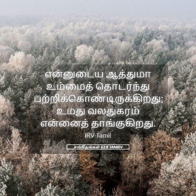 Picture 05 - சங்கீதங்கள் 63:8 TAMIRV - என்னுடைய ஆத்துமா - Bible Verse Picture