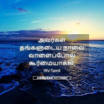 Picture 05 - சங்கீதங்கள் 64:3 TAMIRV - அவர்கள் தங்களுடைய - Bible Verse Picture