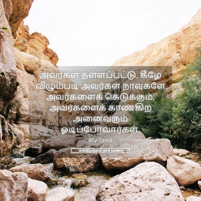 Picture 05 - சங்கீதங்கள் 64:8 TAMIRV - அவர்கள் - Bible Verse Picture