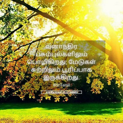 Picture 05 - சங்கீதங்கள் 65:12 TAMIRV - வனாந்திர - Bible Verse Picture