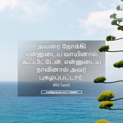 Picture 05 - சங்கீதங்கள் 66:17 TAMIRV - அவரை நோக்கி - Bible Verse Picture