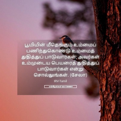 Picture 05 - சங்கீதங்கள் 66:4 TAMIRV - பூமியின் - Bible Verse Picture