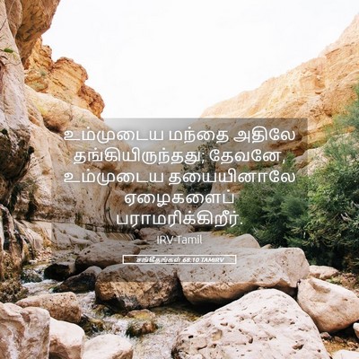 Picture 05 - சங்கீதங்கள் 68:10 TAMIRV - உம்முடைய மந்தை - Bible Verse Picture