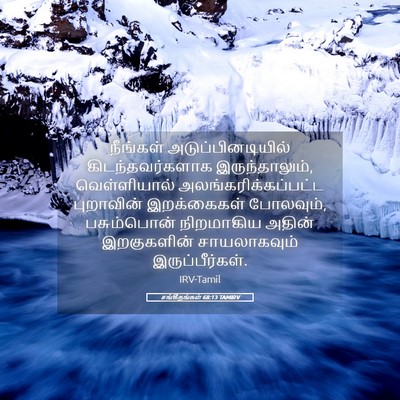 Picture 05 - சங்கீதங்கள் 68:13 TAMIRV - நீங்கள் - Bible Verse Picture