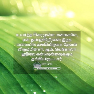 Picture 05 - சங்கீதங்கள் 68:16 TAMIRV - உயர்ந்த சிகரமுள்ள - Bible Verse Picture