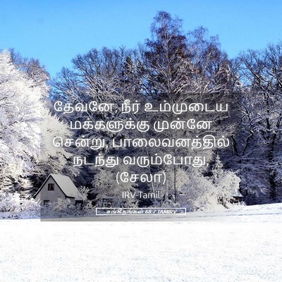 Picture 05 - சங்கீதங்கள் 68:7 TAMIRV - தேவனே, நீர் - Bible Verse Picture