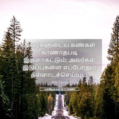 Picture 05 - சங்கீதங்கள் 69:23 TAMIRV - அவர்களுடைய கண்கள் - Bible Verse Picture
