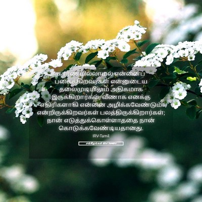 Picture 05 - சங்கீதங்கள் 69:4 TAMIRV - காரணமில்லாமல் - Bible Verse Picture