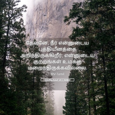 Picture 05 - சங்கீதங்கள் 69:5 TAMIRV - தேவனே, நீர் - Bible Verse Picture
