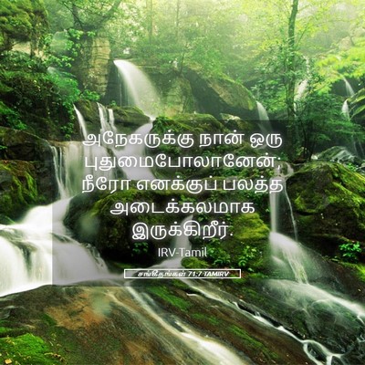 Picture 05 - சங்கீதங்கள் 71:7 TAMIRV - அநேகருக்கு நான் - Bible Verse Picture