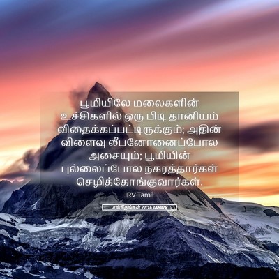 Picture 05 - சங்கீதங்கள் 72:16 TAMIRV - பூமியிலே மலைகளின் - Bible Verse Picture