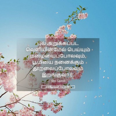 Picture 05 - சங்கீதங்கள் 72:6 TAMIRV - புல் அறுக்கப்பட - Bible Verse Picture
