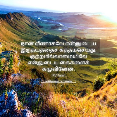 Picture 05 - சங்கீதங்கள் 73:13 TAMIRV - நான் வீணாகவே - Bible Verse Picture