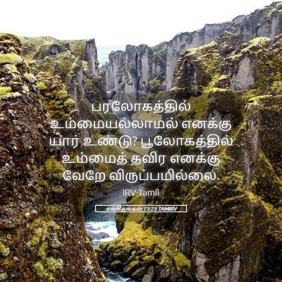 Picture 05 - சங்கீதங்கள் 73:25 TAMIRV - பரலோகத்தில் - Bible Verse Picture