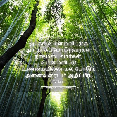 Picture 05 - சங்கீதங்கள் 73:27 TAMIRV - இதோ, - Bible Verse Picture