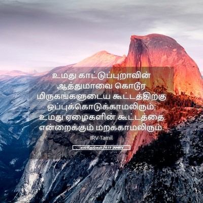 Picture 05 - சங்கீதங்கள் 74:19 TAMIRV - உமது - Bible Verse Picture