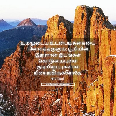 Picture 05 - சங்கீதங்கள் 74:20 TAMIRV - உம்முடைய - Bible Verse Picture