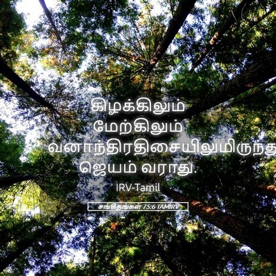 Picture 05 - சங்கீதங்கள் 75:6 TAMIRV - கிழக்கிலும் - Bible Verse Picture