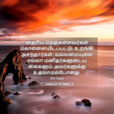 Picture 05 - சங்கீதங்கள் 76:5 TAMIRV - தைரிய - Bible Verse Picture