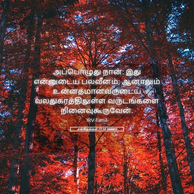 Picture 05 - சங்கீதங்கள் 77:10 TAMIRV - அப்பொழுது நான்: - Bible Verse Picture