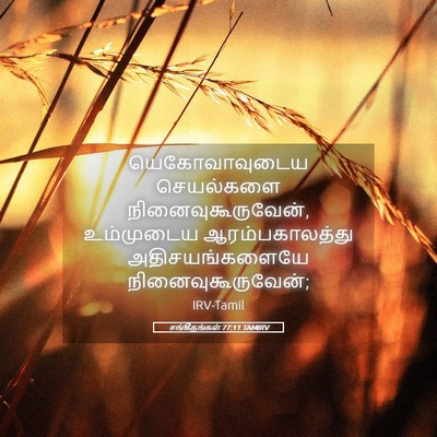 Picture 05 - சங்கீதங்கள் 77:11 TAMIRV - யெகோவாவுடைய - Bible Verse Picture