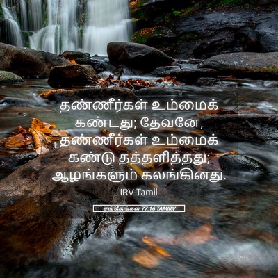 Picture 05 - சங்கீதங்கள் 77:16 TAMIRV - தண்ணீர்கள் - Bible Verse Picture