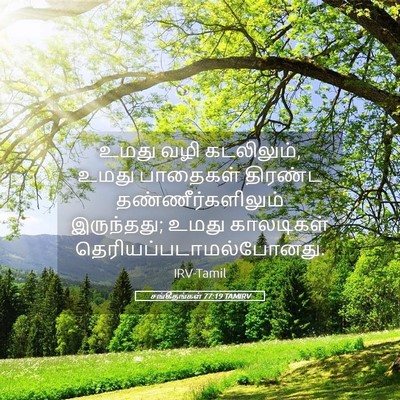 Picture 05 - சங்கீதங்கள் 77:19 TAMIRV - உமது வழி கடலிலும், - Bible Verse Picture