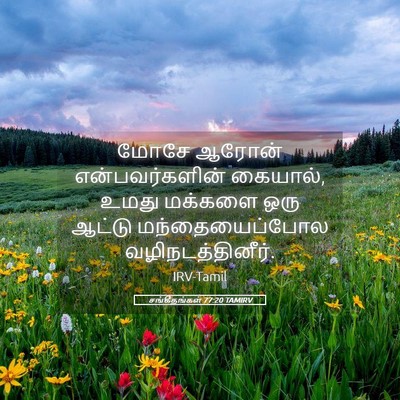 Picture 05 - சங்கீதங்கள் 77:20 TAMIRV - மோசே ஆரோன் - Bible Verse Picture
