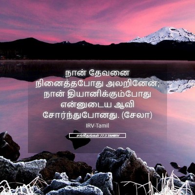 Picture 05 - சங்கீதங்கள் 77:3 TAMIRV - நான் தேவனை - Bible Verse Picture