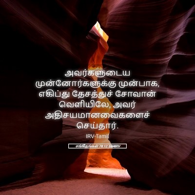 Picture 05 - சங்கீதங்கள் 78:12 TAMIRV - அவர்களுடைய - Bible Verse Picture