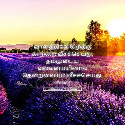 Picture 05 - சங்கீதங்கள் 78:26 TAMIRV - வானத்திலே கிழக்கு - Bible Verse Picture