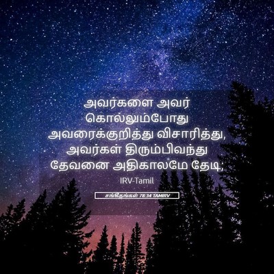 Picture 05 - சங்கீதங்கள் 78:34 TAMIRV - அவர்களை அவர் - Bible Verse Picture