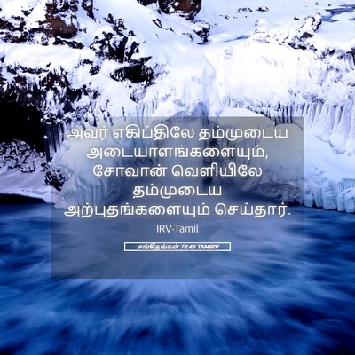 Picture 05 - சங்கீதங்கள் 78:43 TAMIRV - அவர் எகிப்திலே - Bible Verse Picture