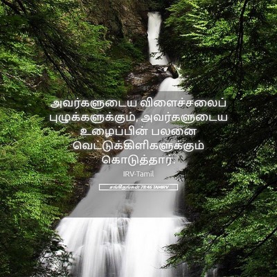 Picture 05 - சங்கீதங்கள் 78:46 TAMIRV - அவர்களுடைய - Bible Verse Picture