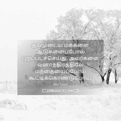 Picture 05 - சங்கீதங்கள் 78:52 TAMIRV - தம்முடைய மக்களை - Bible Verse Picture