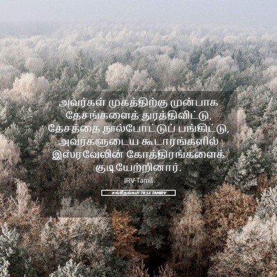 Picture 05 - சங்கீதங்கள் 78:55 TAMIRV - அவர்கள் - Bible Verse Picture