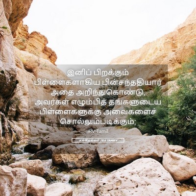 Picture 05 - சங்கீதங்கள் 78:6 TAMIRV - இனிப் பிறக்கும் - Bible Verse Picture