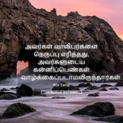 Picture 05 - சங்கீதங்கள் 78:63 TAMIRV - அவர்கள் - Bible Verse Picture