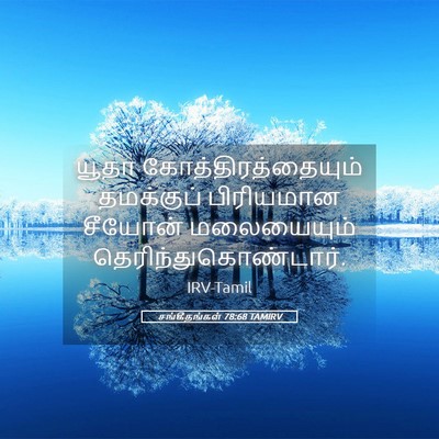 Picture 05 - சங்கீதங்கள் 78:68 TAMIRV - யூதா - Bible Verse Picture